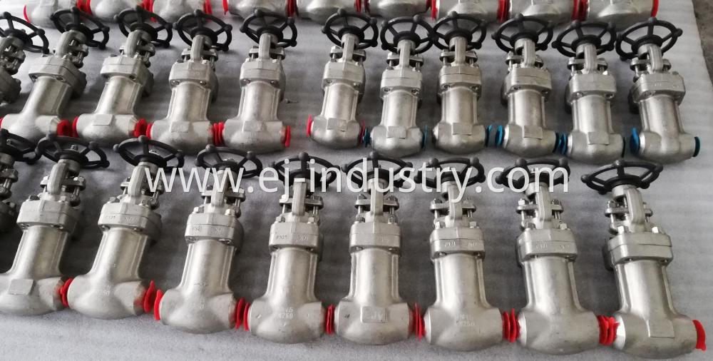 F321 Bellow Globe Valves